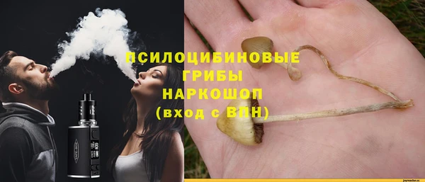apvp Лагань
