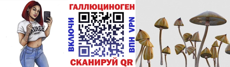 Галлюциногенные грибы ЛСД  KRAKEN tor  Приволжск  где купить  